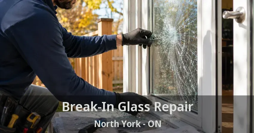 Break-In Glass Repair North York - ON