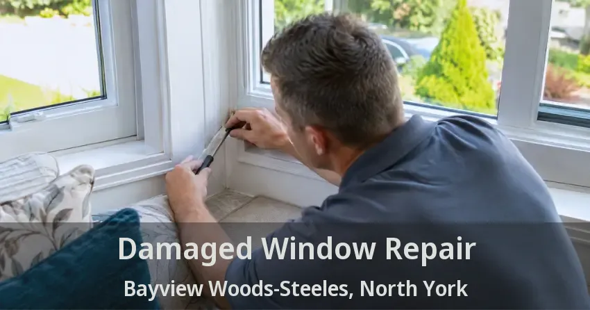 Damaged Window Repair Bayview Woods-Steeles, North York - ON