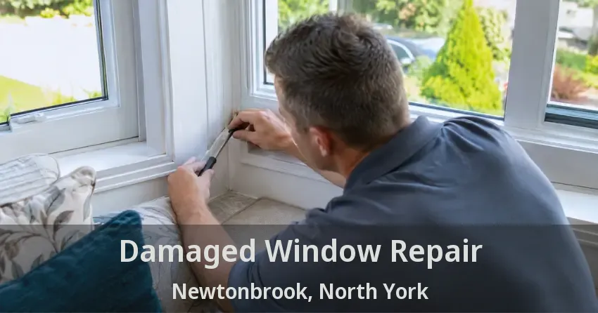 Damaged Window Repair Newtonbrook, North York - ON