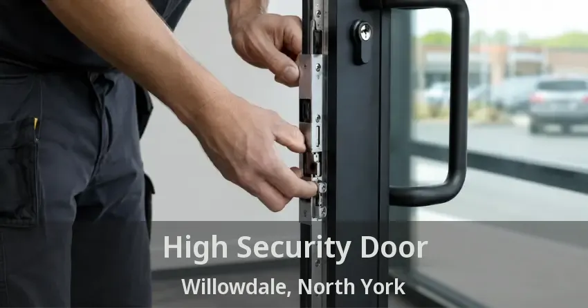 High Security Door Willowdale, North York - ON