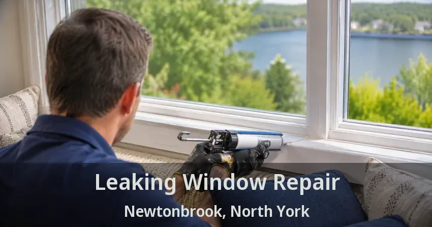 Leaking Window Repair Newtonbrook, North York - ON