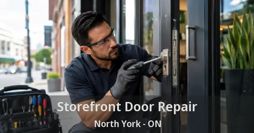 Storefront Door Repair North York - ON